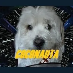 Logo de Coconauta Radio