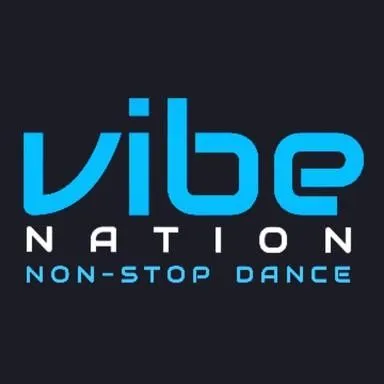 Logo de Vibe Nation