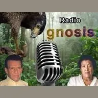 Radio Gnosis