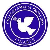 Colegio Amelia Troncoso