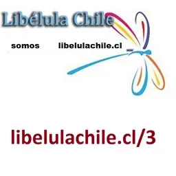 libelulachile.cl/3
