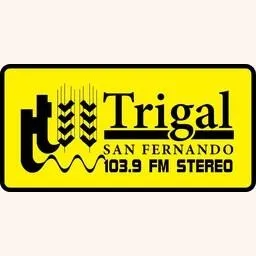 Radio Trigal