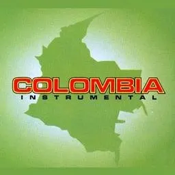Logo de Colombia Instrumental