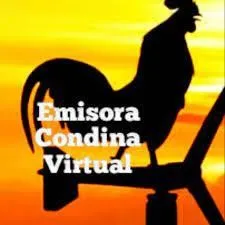 Logo de Condina Virtual