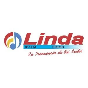 Logo de Linda Stereo 95.1 FM 95.1 FM