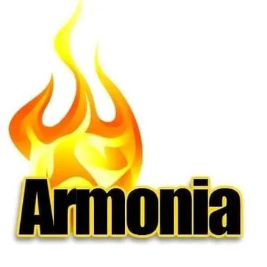 Armonía 100.1