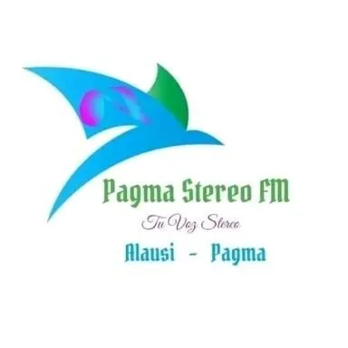 Pagma Stereo