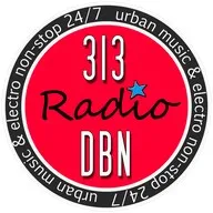 313 DBN Radio