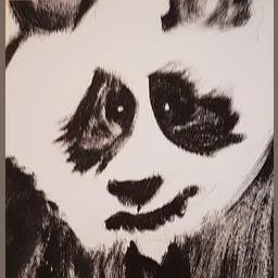 Blue Panda Radio