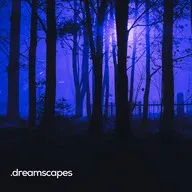 Logo de BOX : Dreamscapes - Ambient Chill
