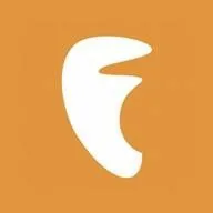 Logo de Fiesta 95 FM 95 FM