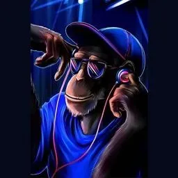 Logo de Funky Monkey Radio