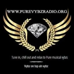 Logo de Pure Vybz Radio