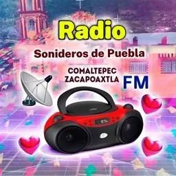 Logo de Sonideros de PUEBLA