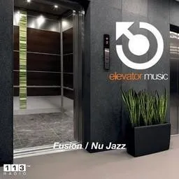 Logo de 113.FM Elevator 113.FM