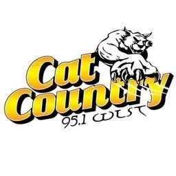 Logo de WLST Cat Country 95.1 FM 95.1 FM