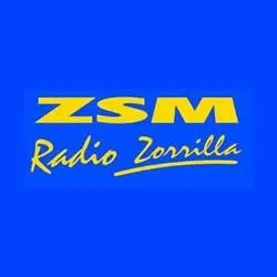 CX140 Radio Zorrilla